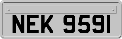 NEK9591