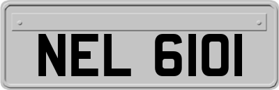 NEL6101