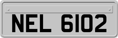 NEL6102