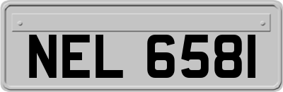 NEL6581