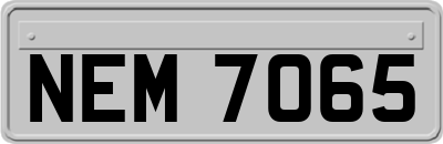 NEM7065