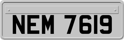 NEM7619