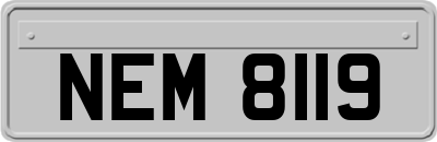 NEM8119