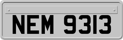 NEM9313