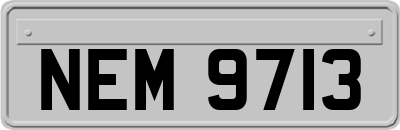 NEM9713