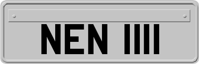 NEN1111