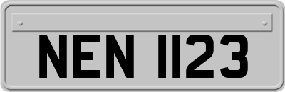 NEN1123