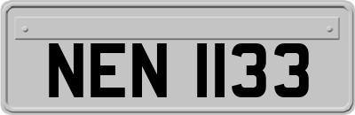 NEN1133