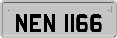 NEN1166