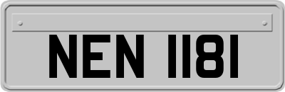 NEN1181