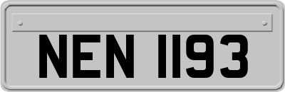 NEN1193