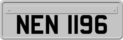 NEN1196