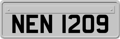 NEN1209