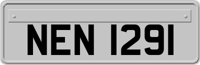 NEN1291