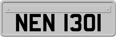 NEN1301