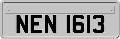 NEN1613