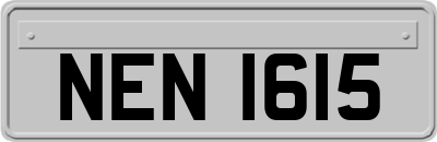 NEN1615