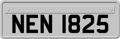 NEN1825