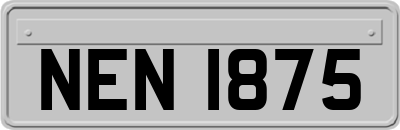 NEN1875