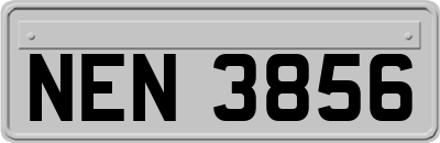 NEN3856