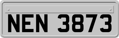 NEN3873