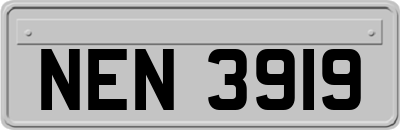 NEN3919