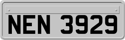 NEN3929