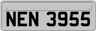 NEN3955