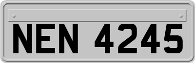 NEN4245