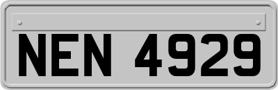 NEN4929