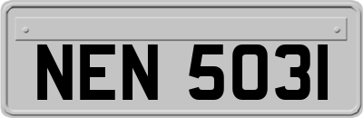 NEN5031