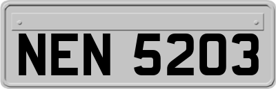 NEN5203