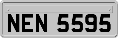 NEN5595