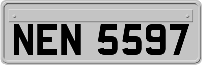 NEN5597