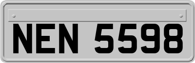 NEN5598