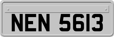 NEN5613