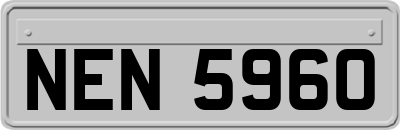 NEN5960