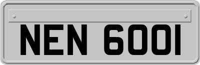 NEN6001