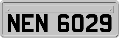 NEN6029