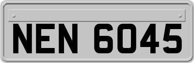 NEN6045