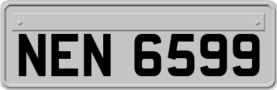 NEN6599