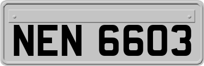 NEN6603