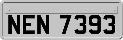 NEN7393