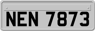 NEN7873