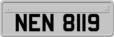 NEN8119