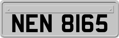 NEN8165