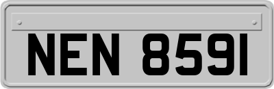 NEN8591