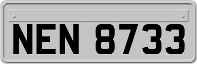 NEN8733