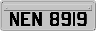 NEN8919