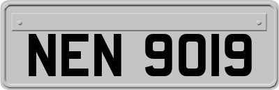 NEN9019